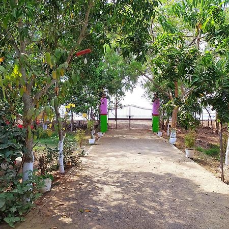 Estuarine Village Resort Sātabhāya Eksteriør bilde