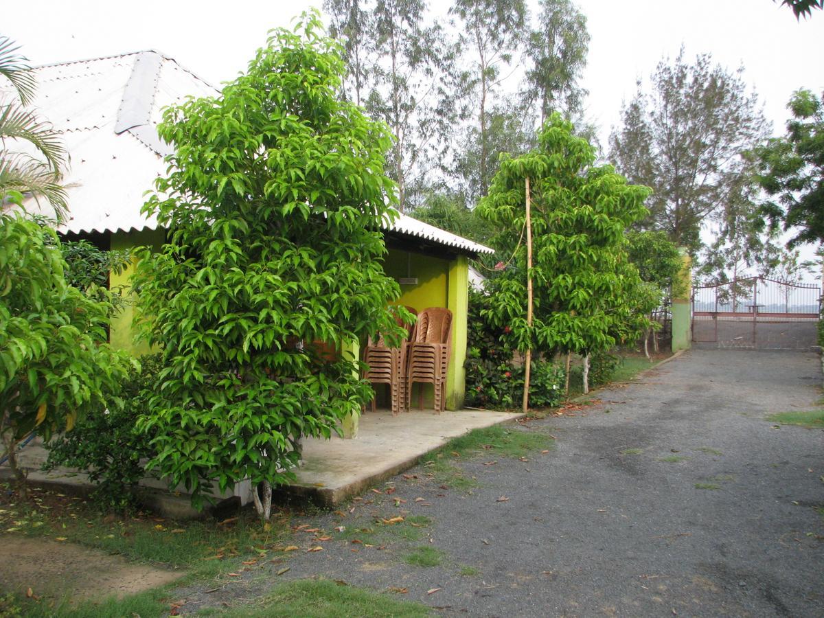Estuarine Village Resort Sātabhāya Eksteriør bilde